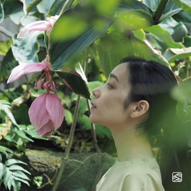 ＜オーガニックとボタニカル＞  植物の美しさを、私たちの生活に。
植物の力を、日本のものづくりに。  ステテコドットコムによるボタニカルダイシリーズは、オーガニックコットン100%の綿ちぢみ（高島ちぢみ）の生地を、すぐれた薬効をもつ芍薬エキス配合のボタニカルダイで染めています。  2025年のコレクションでは「竹炭」「くり」「フェンネル」の3色を新たに加え、Tシャツやモモンガパンツなどを展開中です。
＊こちらの写真では「フェンネル」カラーのTシャツを着用しております。  暑さが本格化するこれからの季節にも、ぜひおすすめですよ。  #オーガニックコットン
#ボタニカルダイ
#芍薬エキス
#organiccotton
#botanicaldye
#stetecocom
#ステテコドットコム